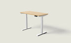 HomeOne desk