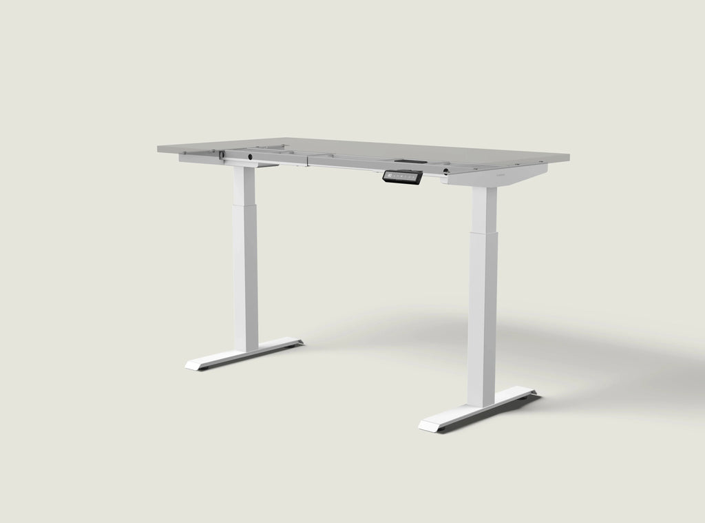 HomeOne desk frame