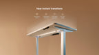 HomeOne desk