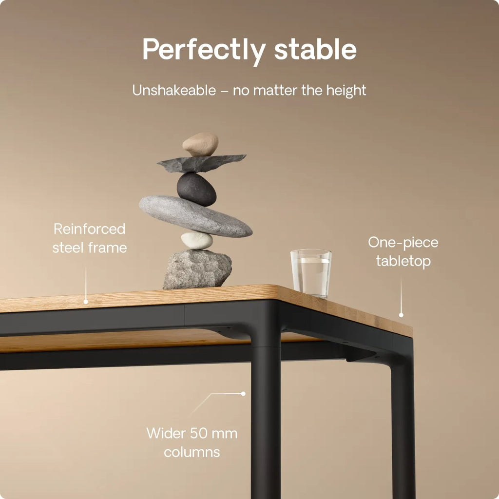 HomeMax desk