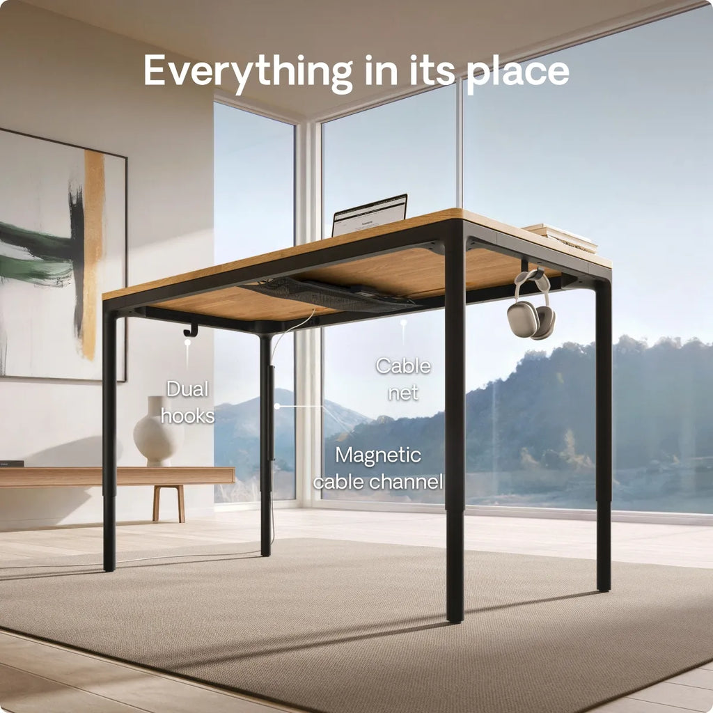 HomeMax desk