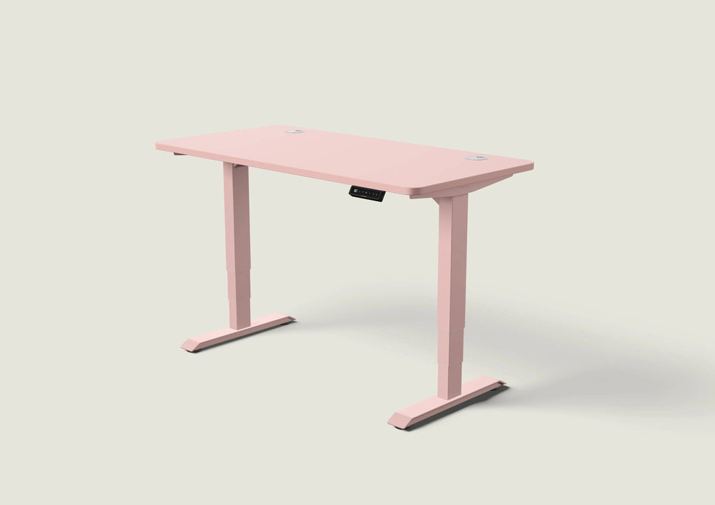 HomePro desk