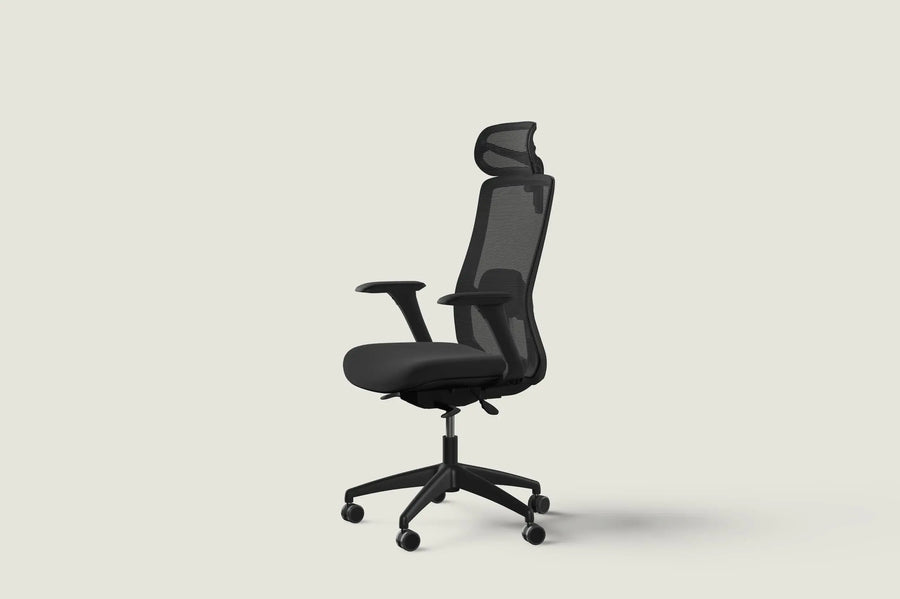 SitOne ergonomic chair