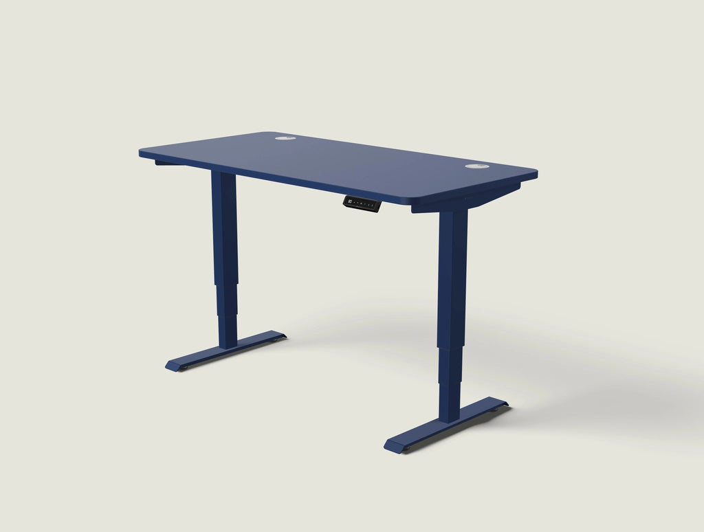 HomePro desk