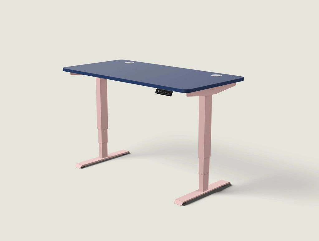 HomePro desk