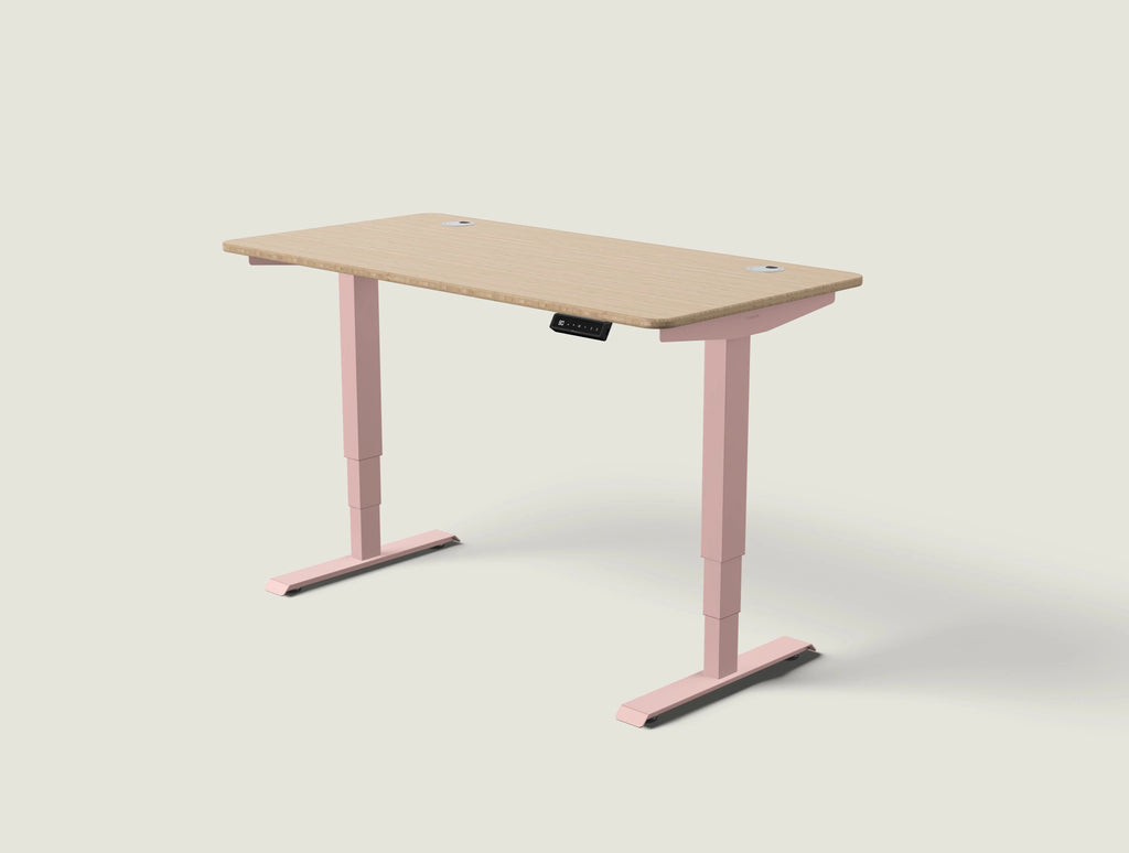 HomePro desk