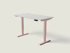 HomePro desk