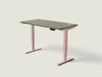 HomePro desk