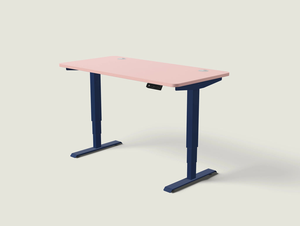 HomePro desk