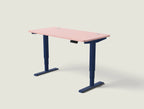HomePro desk
