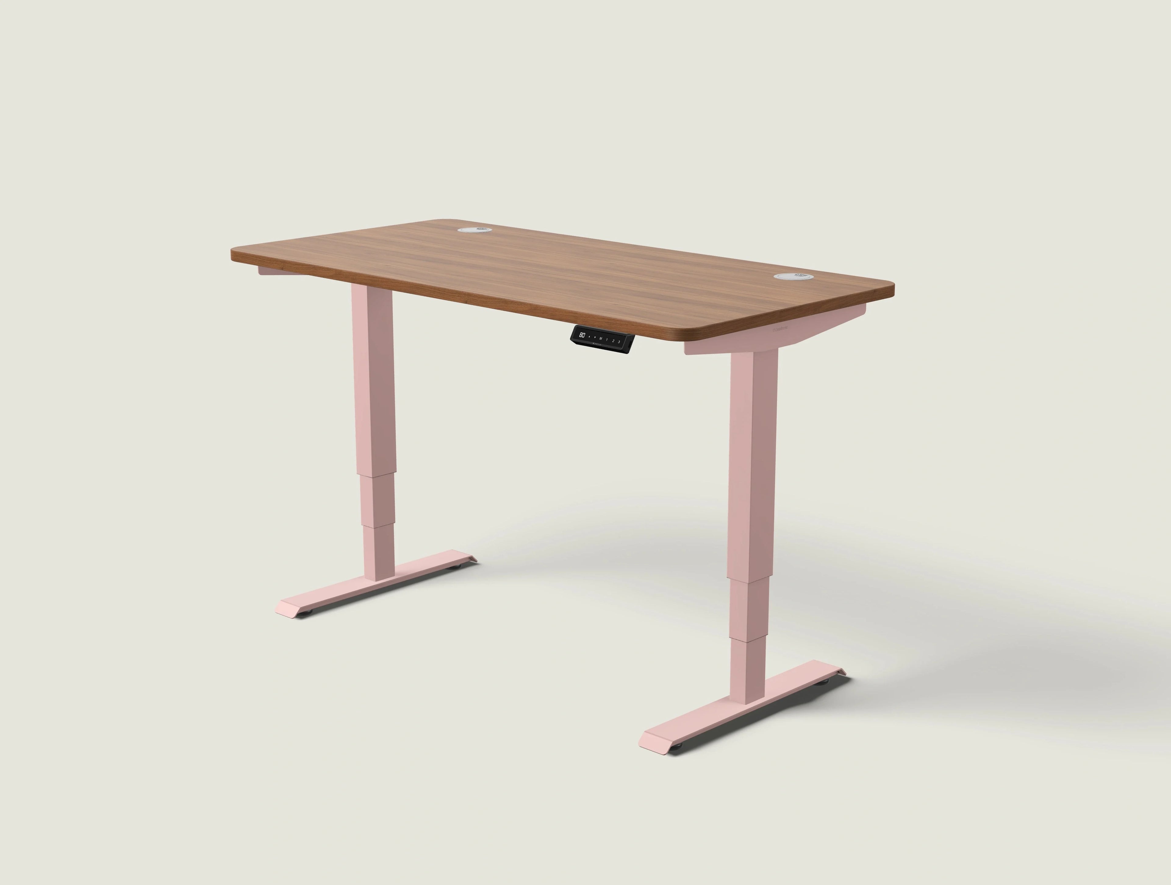HomePro desk